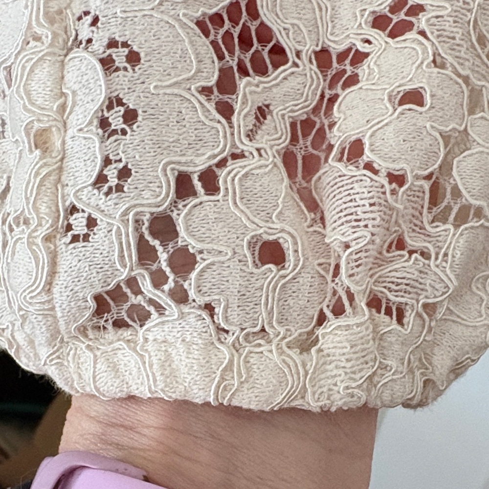 LOFT Beige Lace Blouse - Picture 5 of 5